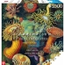 Palapeli Cenega Publishing Ernst Haeckel Criaturas marinas 1000 Kappaletta