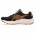 Sportsjoggesko for kvinner Asics Trabuco Terra 2