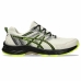 Meeste Jooksukingad Asics Gel-Venture 9 Beež