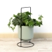 Planter with stand Vinthera Moa Green Metal 18 x 18 x 39 cm (6 Units)