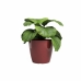 Plantador Artevasi SAN REMO Vermelho Escuro Ø 36 cm (4 Peças)