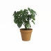 Planter Artevasi CAPRI Gul Ø 40 cm