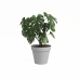 Planter Artevasi CAPRI Lysegrp Ø 40 cm