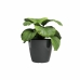 Planter Artevasi SAN REMO Anthracite Ø 42 cm (2 Pieces)