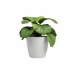 Planter Artevasi SAN REMO Hvit Ø 36 cm (4 Deler)