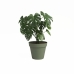 Planter Artevasi CAPRI Grønn Ø 40 cm