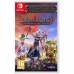 Videogame voor Switch Microids Dungeons 4