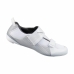 Scarpe da ciclismo Shimano Tri TR501 Bianco Bianco/Grigio