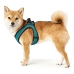 Hundesele Hunter Hilo-Comfort Turkis XS/S (37-42 cm)