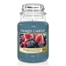 Αρωματικό Κερί Yankee Candle Classic Large Jar Candles Σύκα Blackberry 623 g