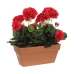 Decoratieve plant Mica Decorations Keramisch Rood PVC (29 x 13 x 40 cm)