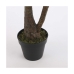 Dekorativ plante Mica Decorations Yucca (120 x 60 cm)