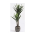 Dekoratiivne Taim Mica Decorations Yucca (120 x 60 cm)