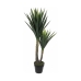 Decoratieve plant Mica Decorations Yucca (120 x 60 cm)