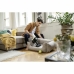 Пылесос-метла Kärcher  VC 4 Cordless Myhome Pet