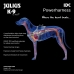 Imbracatura per Cani Julius K9 IDC Cowboy 2 Baby 2 (XS/S)