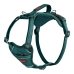 Dog Harness Company of Animals Turquoise L 42-65 cm