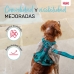 Harnais pour Chien Company of Animals Turquoise L 42-65 cm