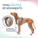 Arnês para Cães Company of Animals Turquesa L 42-65 cm