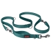 Dog Lead Company of Animals Turquoise L