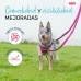 Guinzaglio per Cani Company of Animals Bordeaux L