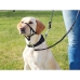 Guide harness for dog Trixie Top Trainer Black XL