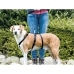 Imbracatura guida per cane Trixie Stay Nero M/L