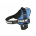 Imbracatura per Cani Trixie Power Azzurro XL 3