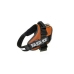 Imbracatura per Cani Julius K9 IDC Arancio XL 3 82-118 CM