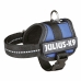 Hondentuigje Julius K9 Power Blauw 1 Baby 1 (XS)