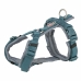 Arnês para Cães Trixie Premium Trekking Azul Grafite S L