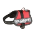 Imbracatura per Cani Julius K9 Power Rosso 2 Baby 2 (XS/S)