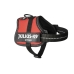 Imbracatura per Cani Julius K9 Power Rosso 2 Baby 2 (XS/S)