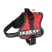 Harnais pour Chien Julius K9 Power Rouge S