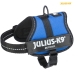 Imbracatura per Cani Julius K9 Power Azzurro 2 Baby 2 (XS/S)