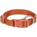 Collar para Perro Trixie Premium Naranja XS/S 22-35 cm