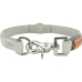 Collar para Perro Trixie BE NORDIC Gris claro S/M 40 cm