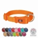 Collar para Perro Trixie New Premium Rojo M/L 40-60 cm