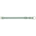 Collier pour Chien Trixie Premium Vert S/M 30-45 cm