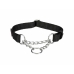 Träningshalsband Trixie New Premium Svart S/M 30-40 cm