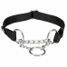 Collar de entrenamiento Trixie New Premium Negro M/L 35-50 cm