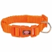 Hundehalsband Trixie New Premium Orange XXS/XS 15-25 cm