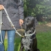 Hundetræning kraver Trixie Soft Rope Grøn Mint M 45 cm