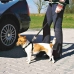 Hundesele Trixie Svart XS Bil