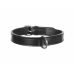 Collar para Perro Trixie Active Negro L/XL 52-63 cm