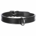 Collar para Perro Trixie Active Negro L/XL 52-63 cm