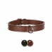 Hundhalsband Trixie Active Svart L/XL 52-63 cm