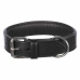 Hundhalsband Trixie Active Svart 38-47 cm