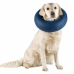 Collar protector para perro Trixie Azul Inflable (45-57 cm)