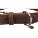 Hondenhalsband Trixie Rustic Donkerbruin S/M 34-40 cm